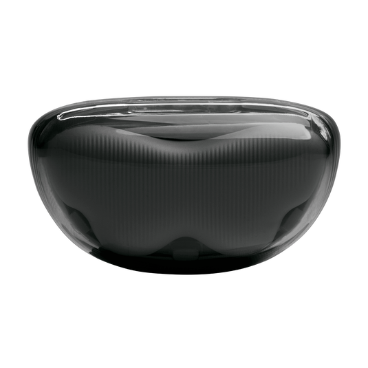 JBL Tune Flex 2 Ghost Edition | 2ウェイハイブリッドノイズキャンセ